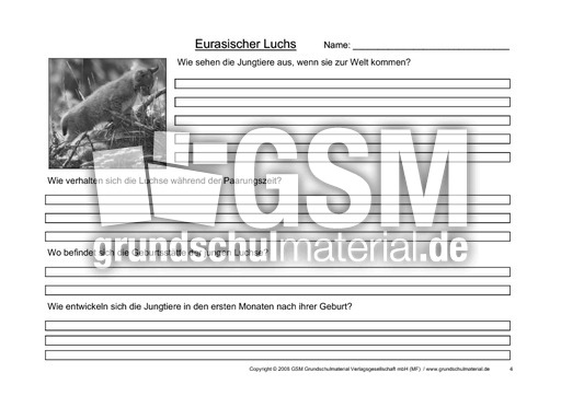 Luchs-Fragen-4.pdf